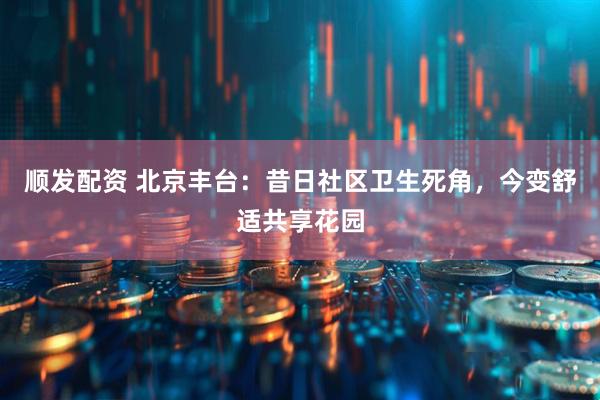 顺发配资 北京丰台：昔日社区卫生死角，今变舒适共享花园