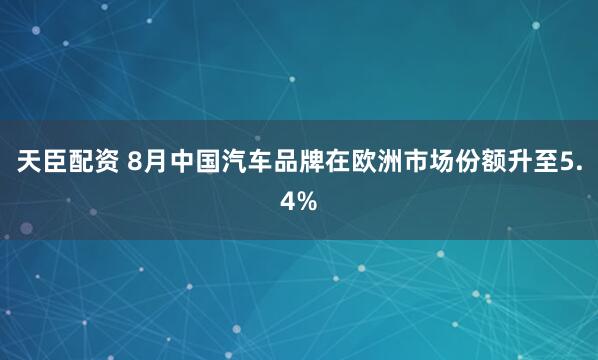天臣配资 8月中国汽车品牌在欧洲市场份额升至5.4%