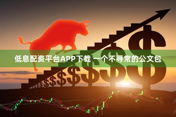 低息配资平台APP下载 一个不寻常的公文包